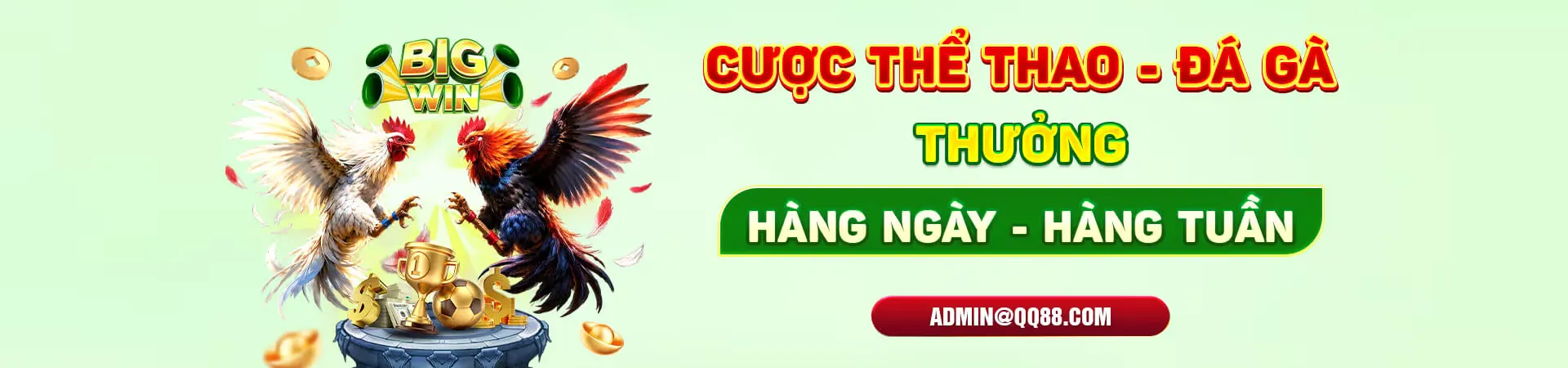 Cá cược thể thao và đá gà tại QQ88